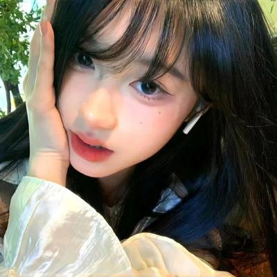 企鹅之岛:福克兰